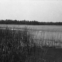 K-61-04-16 William Henry Marsh, St. Edmunds Township, August 1961