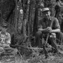 K-61-04-18 Cedar stump mentioned in survey notes of 1855 as cedar tree