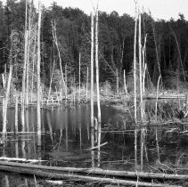 K-61-04-02 Beaver pond - Sault Ste. Marie to Port Arthur, August 1961