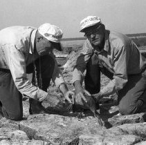 K-63-08-12 Howard Krug and Jack Graper banding young black duck, 1963