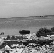 K-63-08-07 Cavalier Island, Howdenvale, 1963