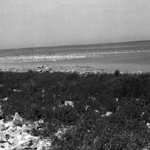 K-63-08-08 Cavalier Island, Howdenvale, 1963