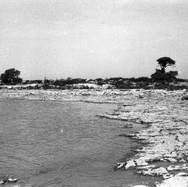 K-63-08-09 Gull Island, Howdenvale, 1963