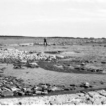 K-64-10-03 Jack Graper walking across shallows to Haystack Island, 1964