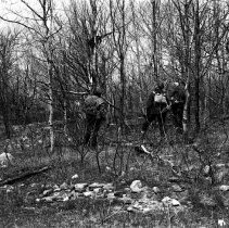 K-66-07-04 Howard Krug, Sydney Street & Peter Street looking at a porcupine