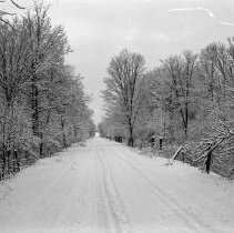K-67-38-14 Eigth Concession [Con. VIII], Elderslie Township, in Swamp