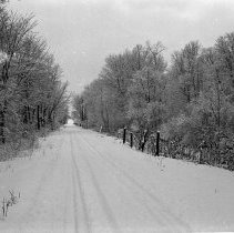 K-67-38-15 Eigth Concession [Con. VIII], Elderslie Township, in Swamp