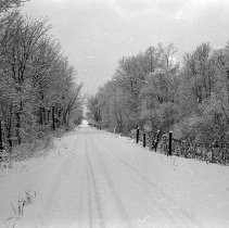 K-67-38-16 Eigth Concession [Con. VIII], Elderslie Township, in Swamp