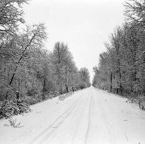 K-67-38-17 Eigth Concession [Con. VIII], Elderslie Township, in Swamp