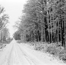K-67-38-06 Road running west from Arthur Acton corner, Sullivan Township