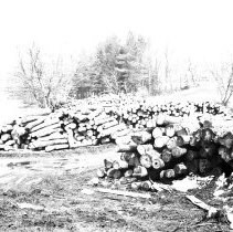 K-69-06-15 Logs at Krug Sawmill, Chesley, April 4, 1969