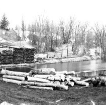 K-69-06-16 Logs at Krug Sawmill, Chesley, April 4, 1969