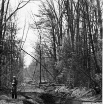 K-69-11-03 Remains of road on 20th Sideroad north of Chepstow Line, 1969