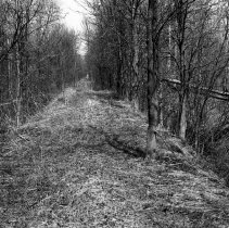 K-69-11-10 North edge of swamp and 20th Sideroad, May 1969