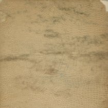 Autograph Album, back cover