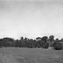 Teeswater River - Teeswater, Ont.