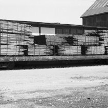 K-72-05-30 Close up of load of 8/4 elm, Chesley, April 1972