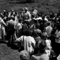 K-74-14-17 Auction sale at Paisley, Gordon Ribey, auctioneer, June 1974