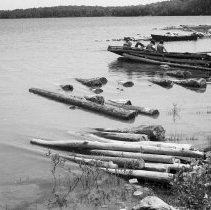 K-74-14-21 Gillies Lake - sucken logs being retrieved from bottom of lake
