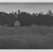 Gobles Grove, north of sixth