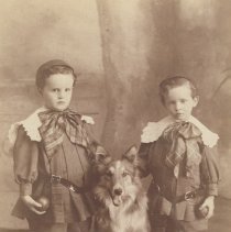 Two little boys with collie dog