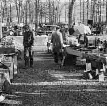 K-75-06-06 Flea Market, Shupp's Grove, Pennsylvania, Spring 1975