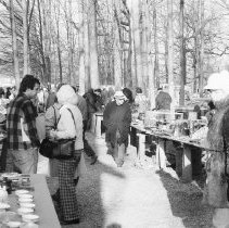 K-75-06-07 Flea Market, Shupp's Grove, Pennsylvania, Spring 1975