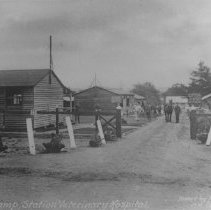 23: Witley Camp, Station Veterinary Hospital