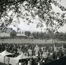 Athletic contest at Landsdowne Park, Kincardine