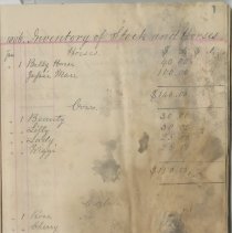 A991.047.s01.f05-p.001