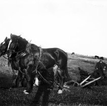 A man with a plow holding the reins of two horses.