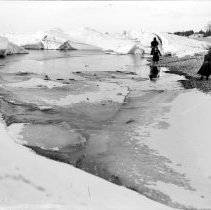 Three girls on icy shoreline