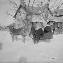 Dog and children sleigh ride