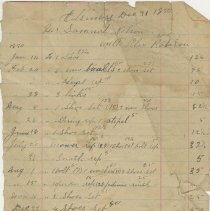 Ax2011.306.031 - [shannon], Tara, 1899