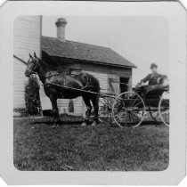 Man, horse and carriage