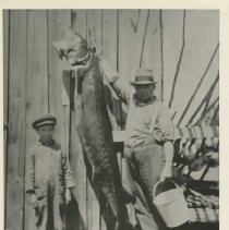 Maurice Doran and man with large fish.