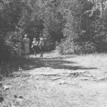 Hiking along a trail