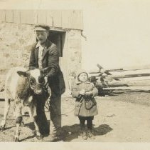 William James Dickison holding a calf