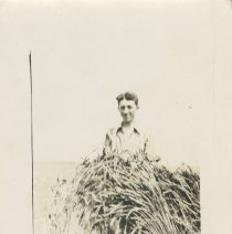 Roy Dickison standing behind grain sheaves, front