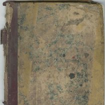 Ledger for legal services