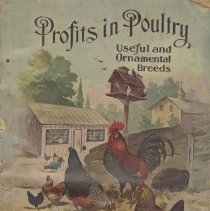 Profits in poultry