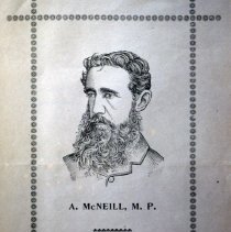 Sketch of McNeill