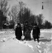 Snowshoeing - Howard, Charles and Crossley