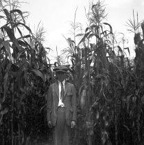 Howard in corn
