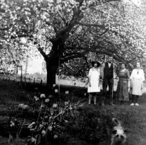 Orchard at the Corran