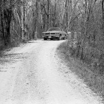 K-77-07-00  Road through swamp in Keppel Township.
