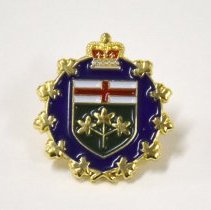 Pin, Insignia