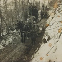 Logs coming down the 10th Line hill at Mallory Beach