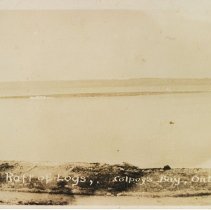 Raft of logs on Colpoy's Bay