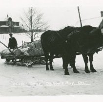 Winter scene, Colpoy's Bay